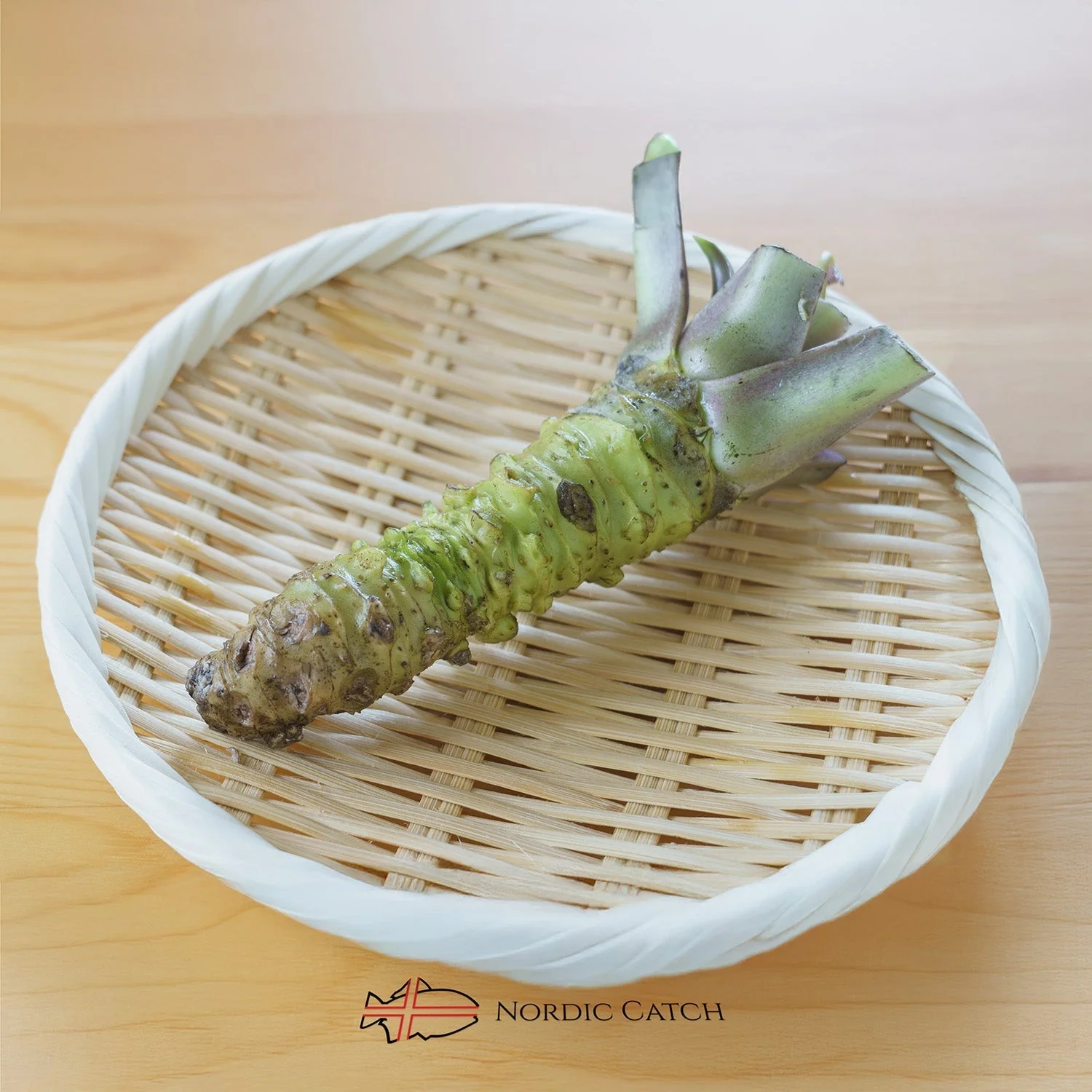 Fresh Japanese Wasabi Root + Steel Shark Grater Bundle - Image 7