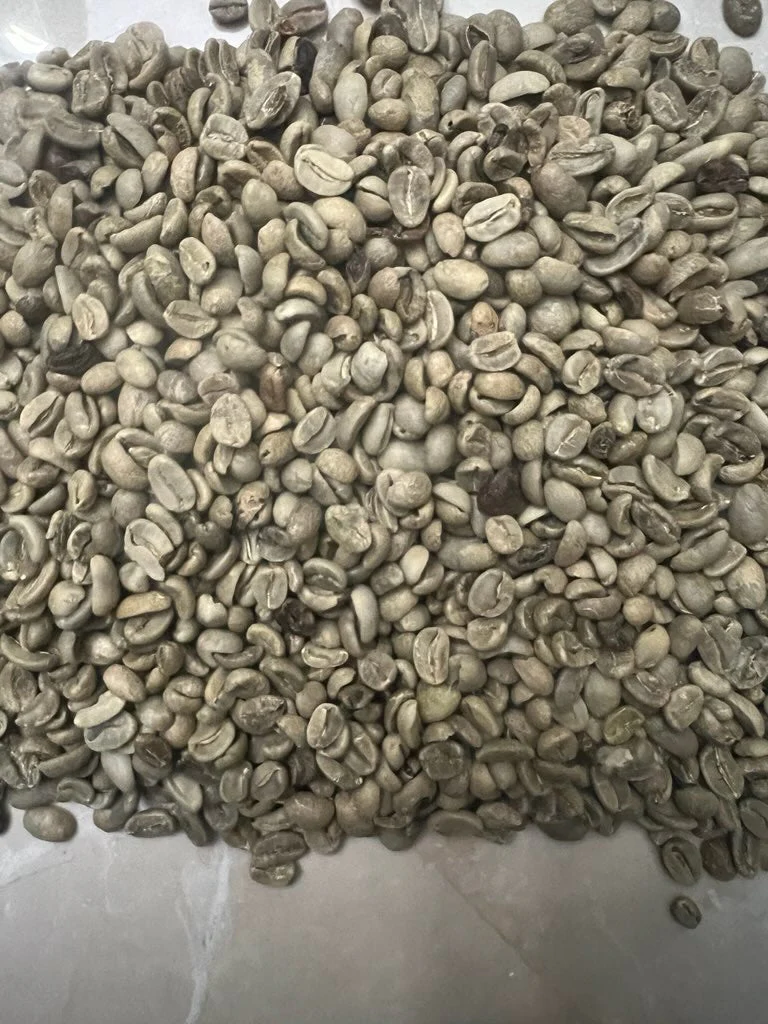 Grade 2 Green Unroasted Coffee Beans - Image 3